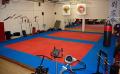 National Centre for Combat Martial Arts (NCCMA) image 1