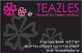 Teazles - Flowers By Helen Lindsay image 2