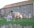 West Leas Farm image 3