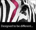 AHG Creative - Graphic & Web Design image 4