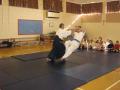 Brighton Aikido - Ittaikan Club image 3