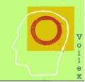 Voilex Ltd logo