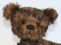 Brierley Bears image 2