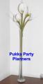Pukka Party Planners image 6