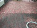 Carpet cleaning Liverpool from Dirtbusters logo