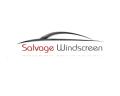 Salvage Windscreen logo