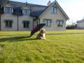 Lough Erne House Rental image 6