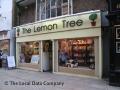 The Lemon Tree image 1