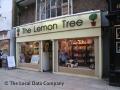 The Lemon Tree logo