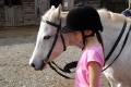 Hayes Farm Riding Stables image 2