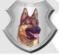 Guard Dog Security image 9