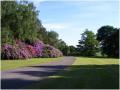 Cheswardine Hall Nursing & Residential Home image 7