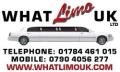 Whatlimo uk limited logo