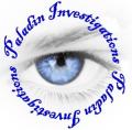 Paladin Investigations logo