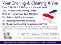 Your Ironing & Domestic Cleaning 4 You Horsham image 2