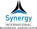 Synergy International Business logo