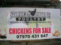 Stockelm Cottage Poultry image 5