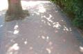 Eco Cleaning Services, Nottingham driveway image 2