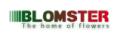 Blomster - wholesalers for florists logo