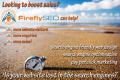 FireflySEO image 1