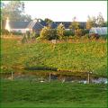 Craigrobin Holiday Cottage in Dumfries and Galloway near, Loch Ken image 2