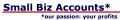 Small Biz Accounts logo