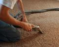 McConkey Carpet and Upholstery Cleaning image 2