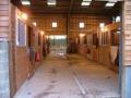Hazelbank Stables image 3