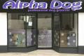 Alpha Dog logo