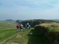 Visit Hadrian's Wall logo