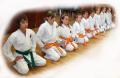 SHEFFORD KARATE CLUB image 7