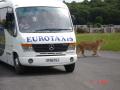 Eurotaxis image 10