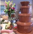 Prestige chocolate fountain hire image 2