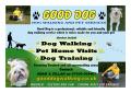 Good Dog - Dog Walking logo