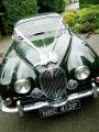 Aristocat Classic Jaguar Wedding Car Hire logo
