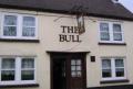 The Bull image 1