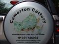 Camerton Boarding Cattery image 9