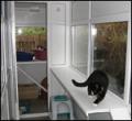 Jans Cattery image 5