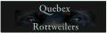 Quebex Rottweilers UK logo