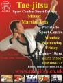 Brighton Martial Arts image 4