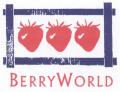 Berryworld Ltd logo