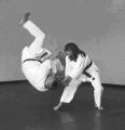 Chang's Hapkido Academy image 6