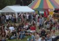 Wyeside Music Festival image 2