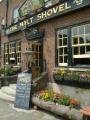 The Malt Shovel image 3