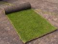 Spearhead Turf image 2