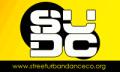 STREET URBAN DANCE DANCE CO - REDHILL logo