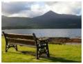 Short Breaks & Self Catering in Arran at The Shorehouse image 3