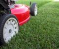 Tameside Lawn Care image 1