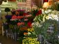 The Flower Shoppe Limited image 2