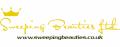 Sweeping Beauties Ltd logo
